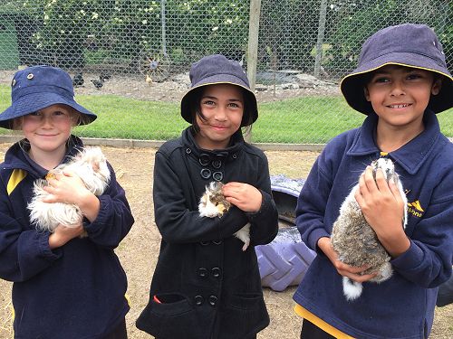 Brya, Glacier and Sameer.