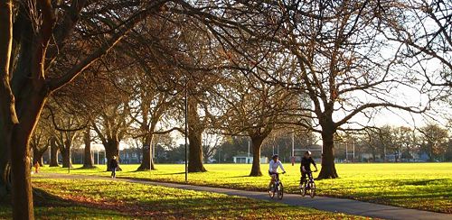 Cycling in Hagley Park | Autumn