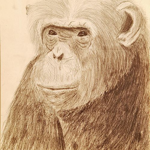 Artist - Oscar Sharpe