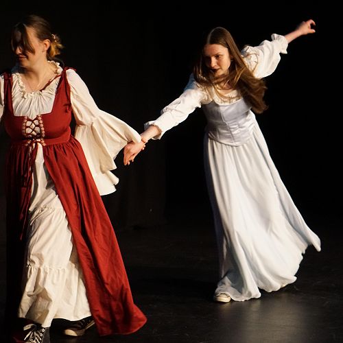 'Taming of the Shrew'