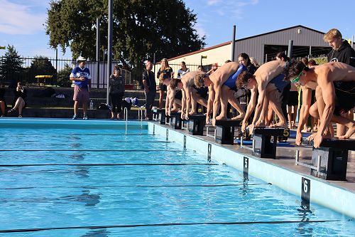 Swimming sport heats