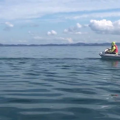 Video: Quinn Boyle swimming the Firth of Thames