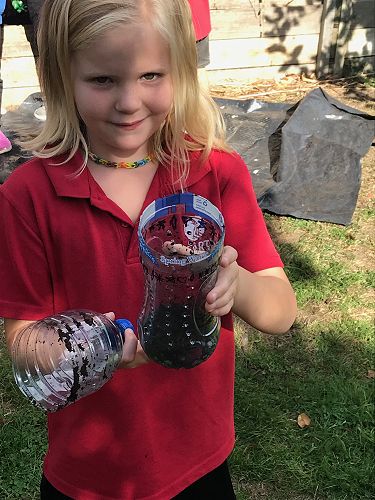 STEAM - Terrarium Making - Team Harakeke