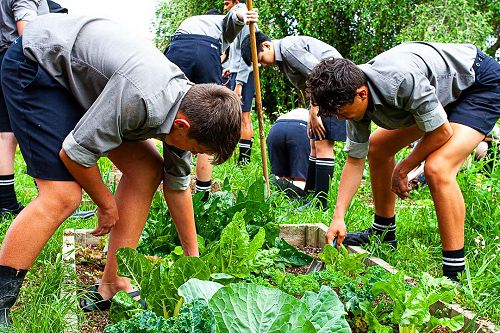 Year 10 Horticulture 