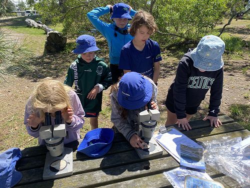 Microscope examination time