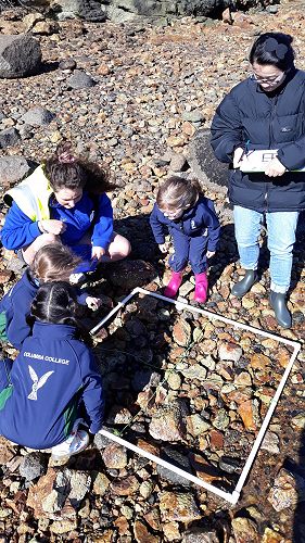 Exploring and recording life in a meter square.