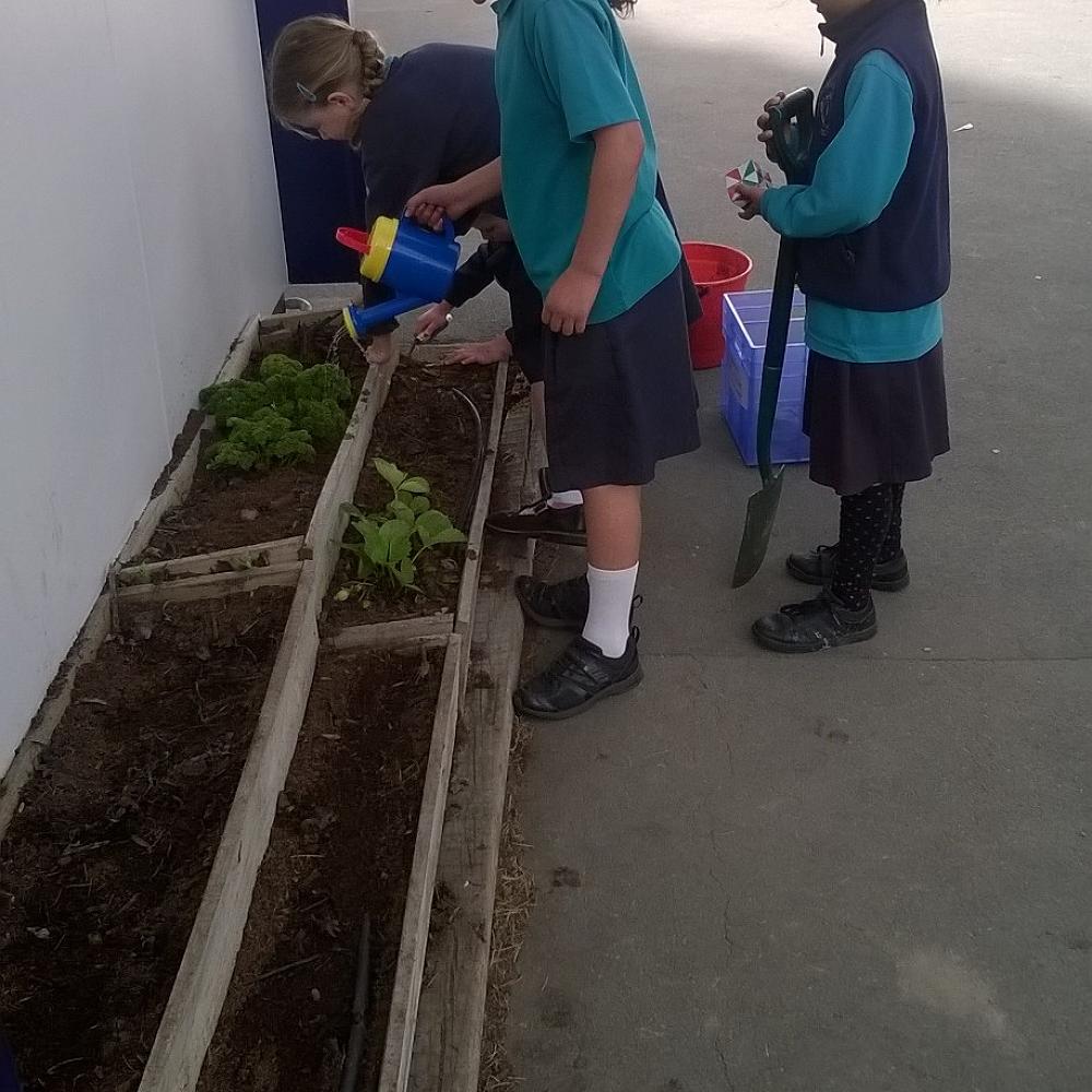 Action Stations - Term 4