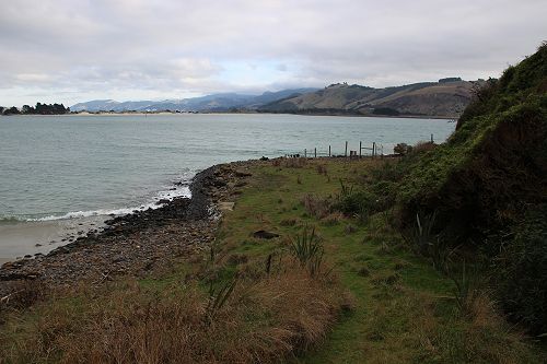 International Albatross Trip 