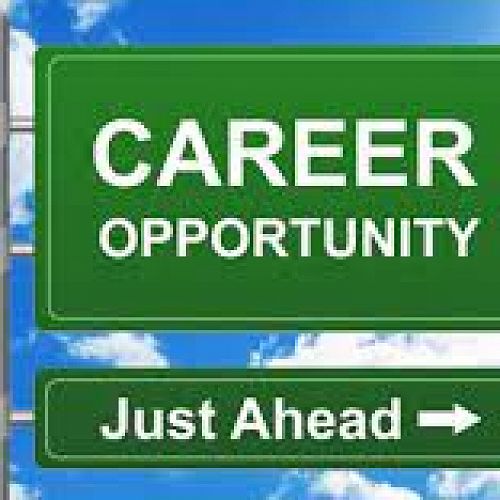 Career Opportunity