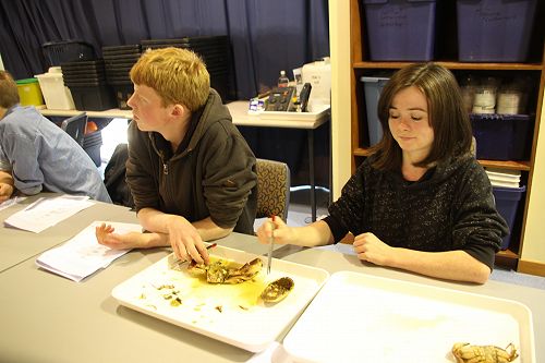 Year 12 Biology Field Trip