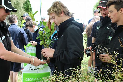 Lincoln Dairy Farm Open Day