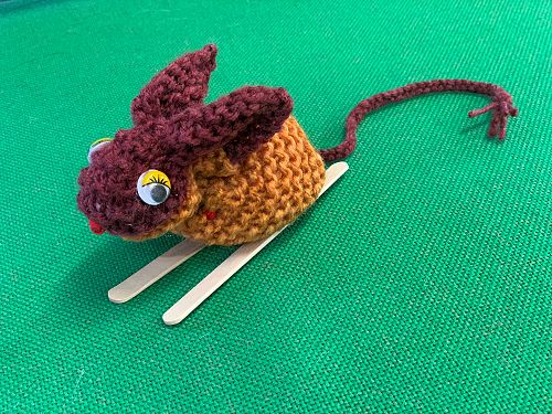 Peter Mouse, who has led the way in the Church Mice trial, is ready to ski out of St Peter's, Queenstown