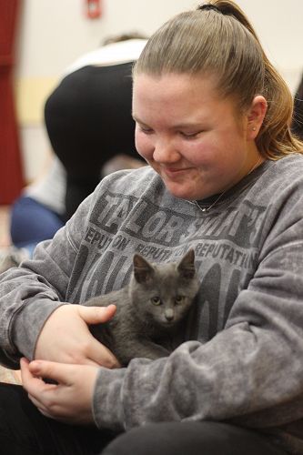 Cat Rescue Dunedin at St Margaret's College
