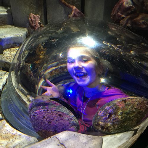 Niamh checking out the Paua at Kelly Tarltons
