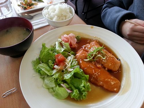 Salmon Teriyaki at Kohan, Lake Tekapo