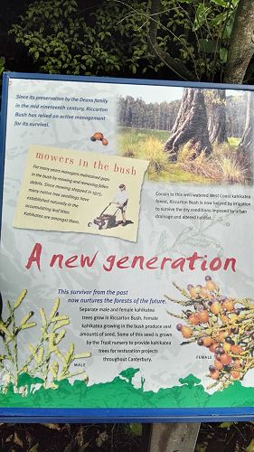 Riccarton House & Riccarton Bush - Team Harakeke - 2017