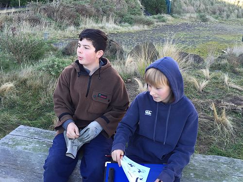Planting for Penguins