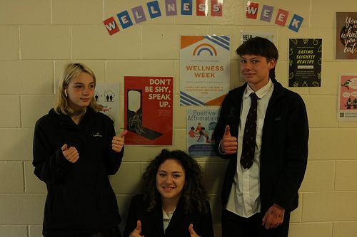 Year 12 Health - Wellness Week