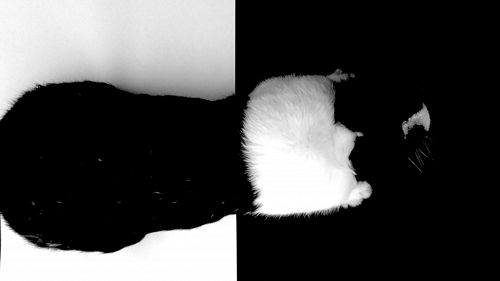 Art by Anne Marie Bendsen