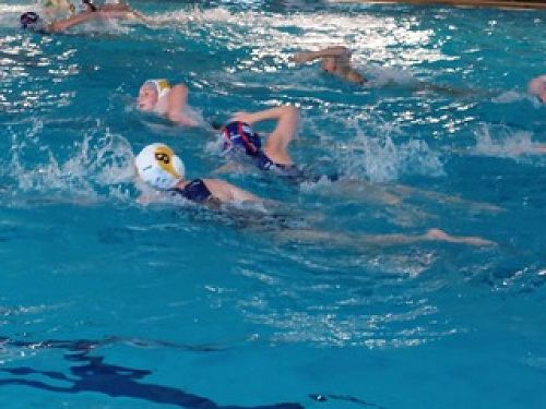 Fast, skilful and strong - waterpolo at its best!