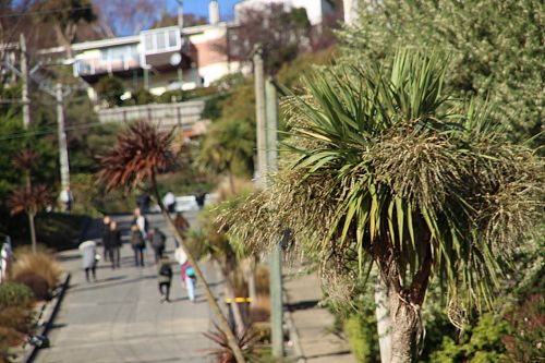 International Orientation