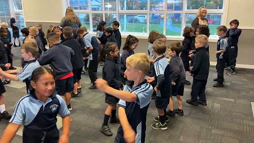 Video: Pūkeko and Pīwakawaka partner dance