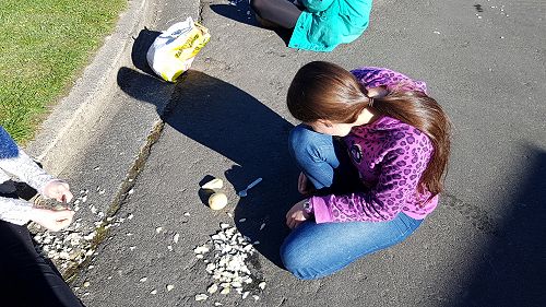 Year 13 Biology - Evolution 