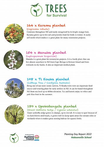 Types of trees planted