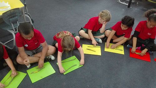 Measurement - week one