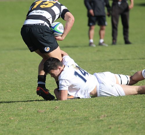 1st XV vs New Plymouth Boys' High School