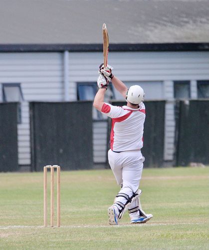 2001 Cricket Reunion