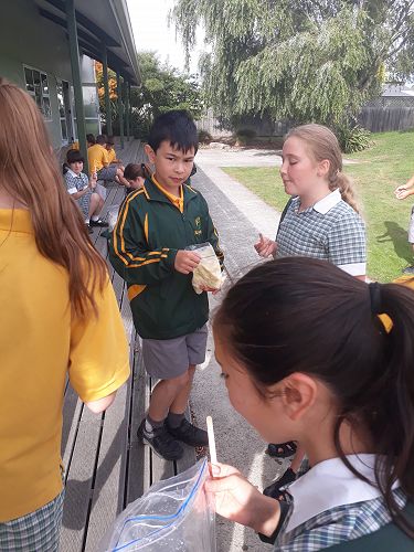 Year 5 / 6 students sampling the ice-cream they made.