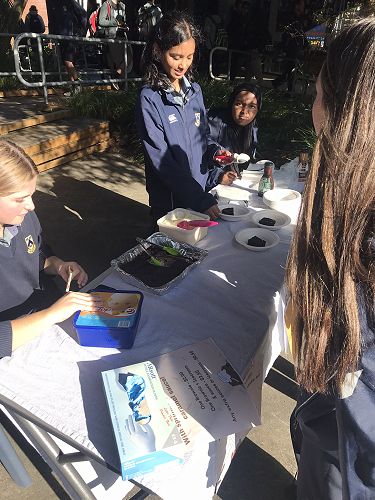 Year 12 Business Studies Market Day