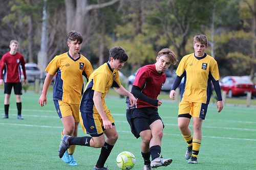 Co-Ed Winter Sports Tournament 
