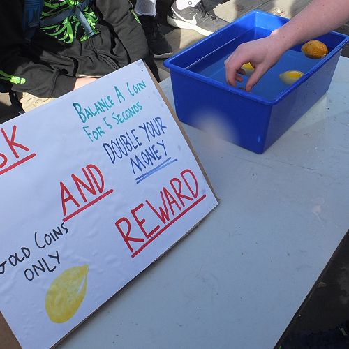 MCSH - risk and reward