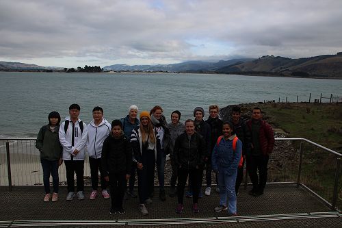 International Albatross Trip 