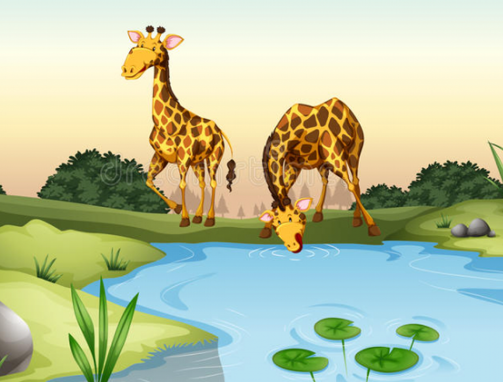 High Diving Giraffes — School Newsletter 15th September