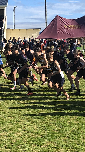 Cross Country Championships