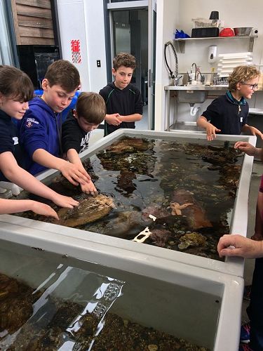 Exploration through touch  