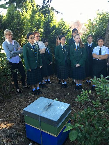 Miss Hillier's class listen to Mr Rixon talk about the life cycle of the bees and how their community is organised.