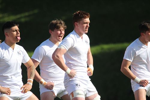 1st XV vs New Plymouth Boys' High School