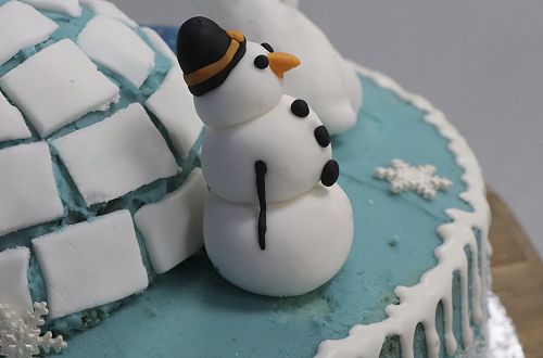 Harington House Fashion Show 2020