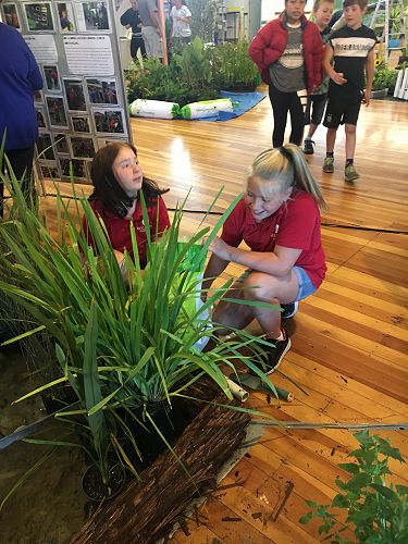 Oderings School Gardens Show 2018