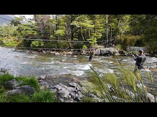 Video: Year 8 Camp - 2022