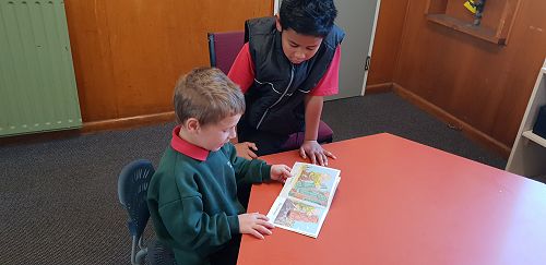 Team Awa and Wairere Buddy Class