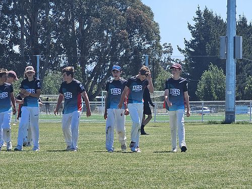 DHS Cricket, Years 9 and 10