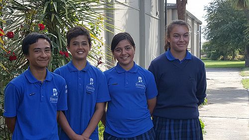 Kaiarahi Māori 2017