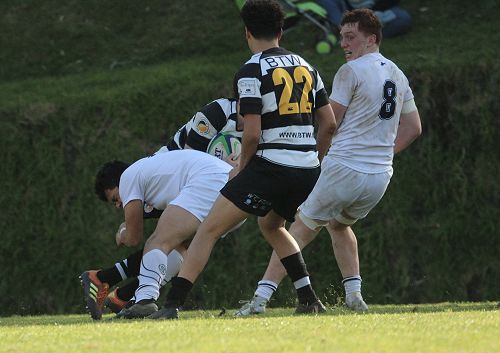 1st XV vs New Plymouth Boys' High School