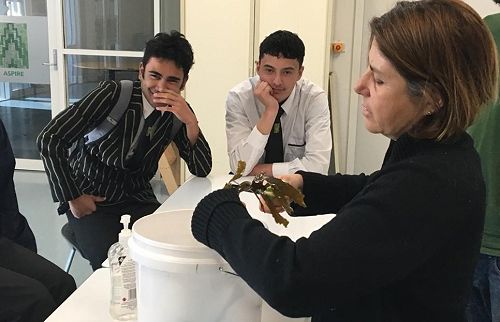 Roberta D’Archino from NIWA showed the students at Mana College how to release spores from kelp