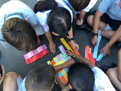 Peer Support Programme